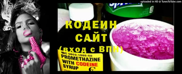 индика Новодвинск