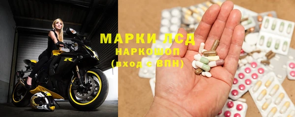 индика Новодвинск