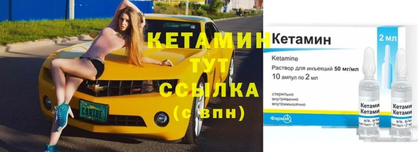 индика Новодвинск