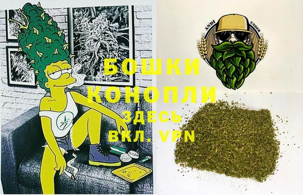 индика Новодвинск
