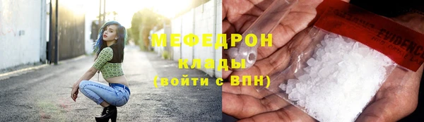 индика Новодвинск