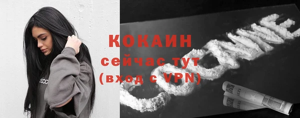 индика Новодвинск
