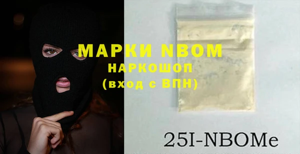 a pvp Новозыбков