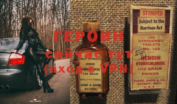 индика Новодвинск