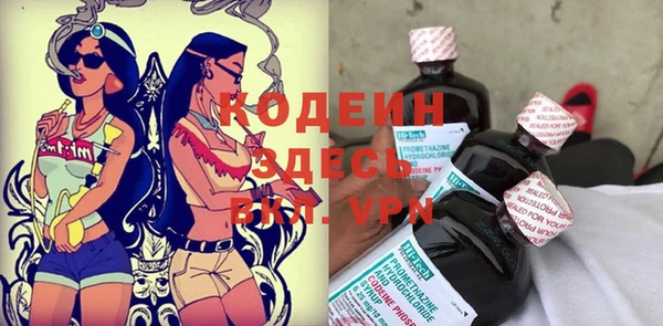 индика Новодвинск