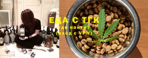 индика Новодвинск