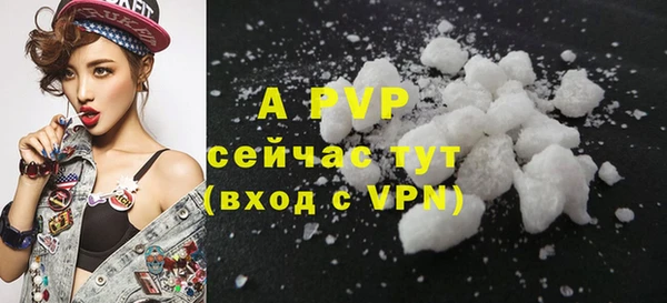 индика Новодвинск