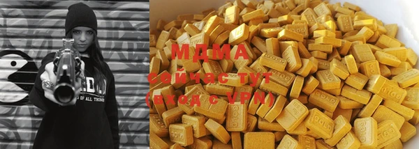индика Новодвинск