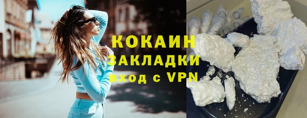 a pvp Новозыбков