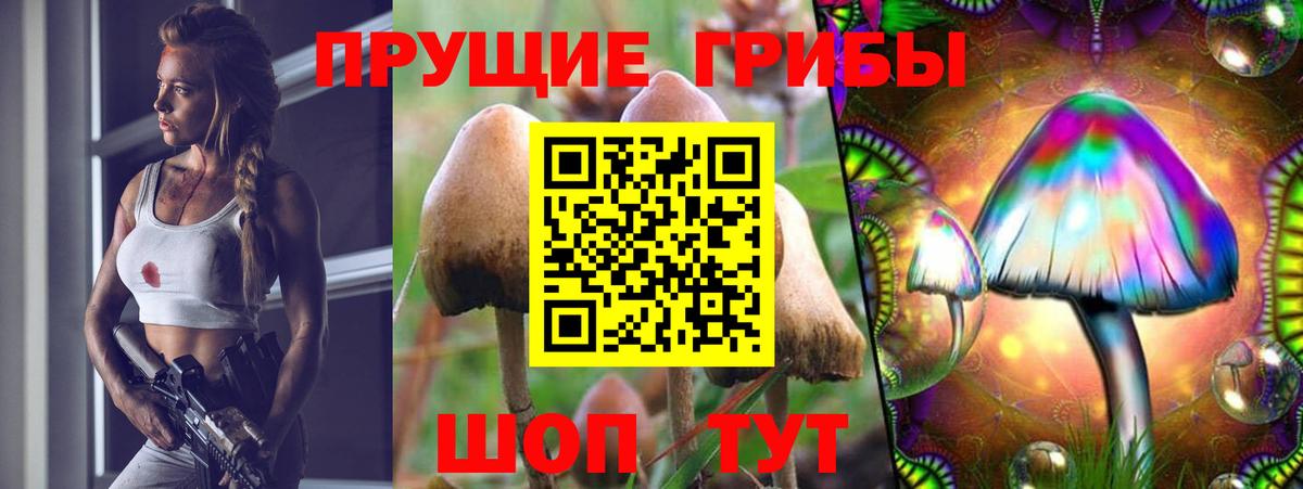 Галлюциногенные грибы GOLDEN TEACHER Туймазы