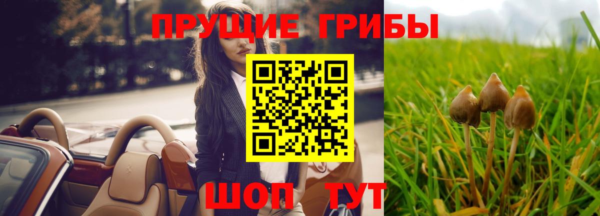 Галлюциногенные грибы GOLDEN TEACHER Туймазы